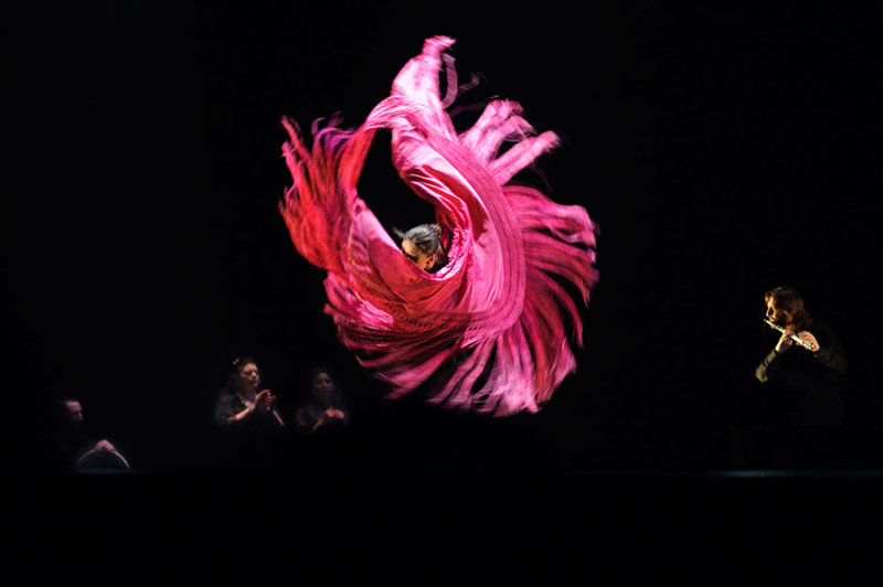 Flamenco by Rafael Aviles