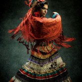 2014 Philadelphia Flamenco Festival, March 1st-16th.