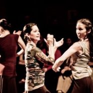 Pasion y Arte Fall Flamenco Classes!